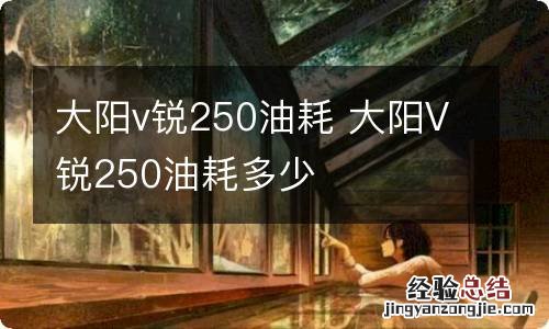 大阳v锐250油耗 大阳V锐250油耗多少