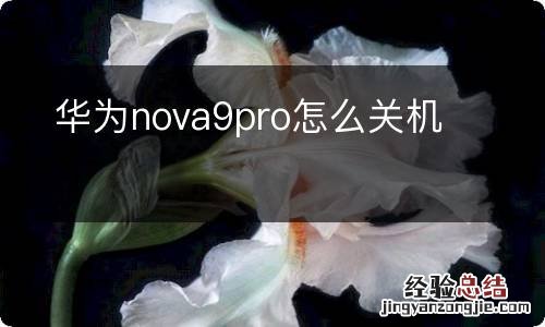 华为nova9pro怎么关机