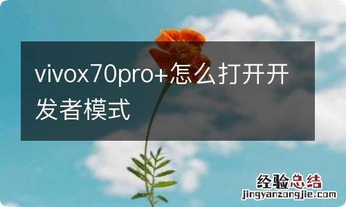 vivox70pro+怎么打开开发者模式