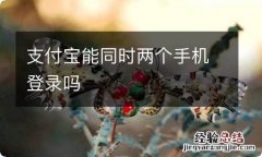 支付宝能同时两个手机登录吗