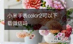 小米手表color2可以下载微信吗