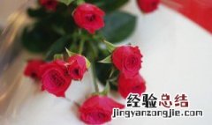 玫瑰花是保加利亚的国花吗 关于玫瑰花是保加利亚的国花吗