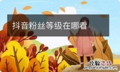 抖音粉丝等级在哪看