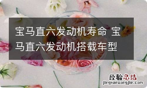 宝马直六发动机寿命 宝马直六发动机搭载车型