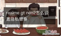 realme gt neo2怎么设置隐私替身