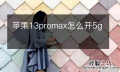 苹果13promax怎么开5g