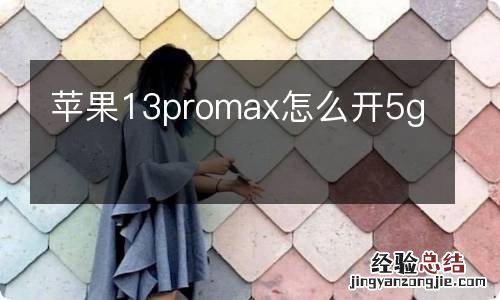 苹果13promax怎么开5g