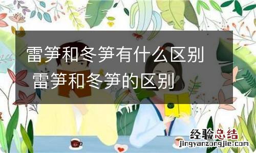 雷笋和冬笋有什么区别 雷笋和冬笋的区别