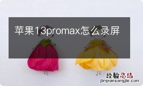 苹果13promax怎么录屏