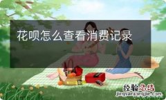 花呗怎么查看消费记录