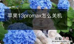 苹果13promax怎么关机