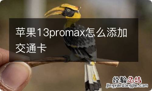 苹果13promax怎么添加交通卡