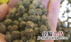 兔粪的用途与价值 兔粪还能防止什么昆虫