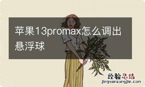 苹果13promax怎么调出悬浮球