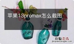 苹果13promax怎么截图