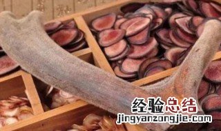 鹿茸是指什么鹿的什么部位 鹿茸是指什么