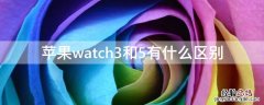 iPhonewatch3和5有什么区别