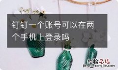 钉钉一个账号可以在两个手机上登录吗