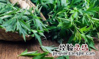 艾叶泡脚怎么使用方法 怎么用艾叶泡脚的正确方法