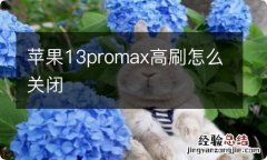 苹果13promax高刷怎么关闭