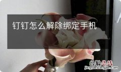 钉钉怎么解除绑定手机