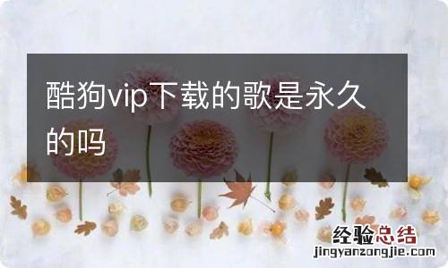 酷狗vip下载的歌是永久的吗