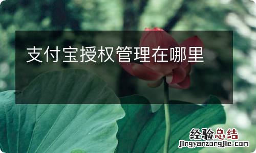 支付宝授权管理在哪里