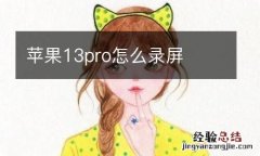 苹果13pro怎么录屏