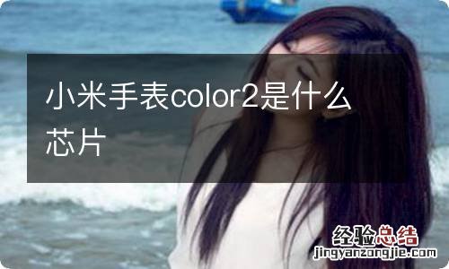 小米手表color2是什么芯片