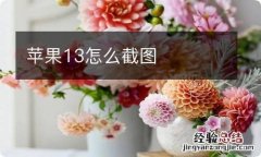 苹果13怎么截图