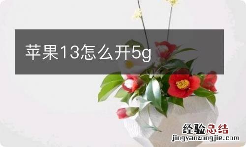 苹果13怎么开5g