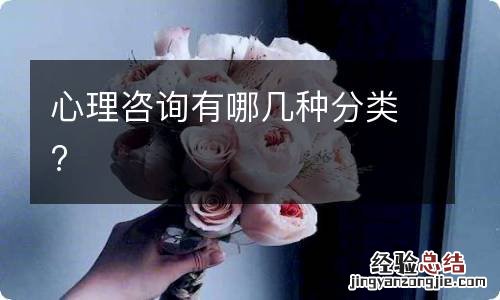 心理咨询有哪几种分类?