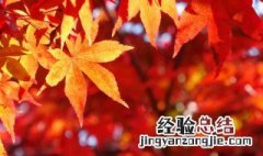 秋分如何养生 秋分怎么养生