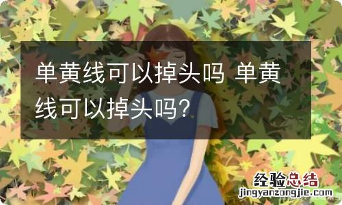 单黄线可以掉头吗 单黄线可以掉头吗?