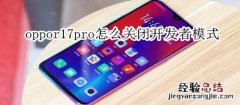 oppor17pro怎么关闭开发者模式