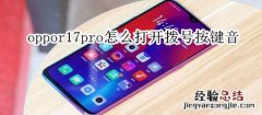 oppor17pro怎么打开拨号按键音