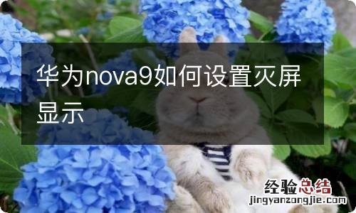 华为nova9如何设置灭屏显示