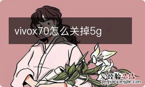 vivox70怎么关掉5g