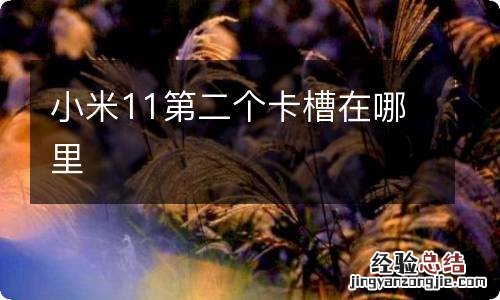 小米11第二个卡槽在哪里