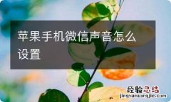 苹果手机微信声音怎么设置