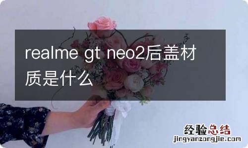 realme gt neo2后盖材质是什么