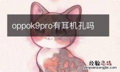 oppok9pro有耳机孔吗