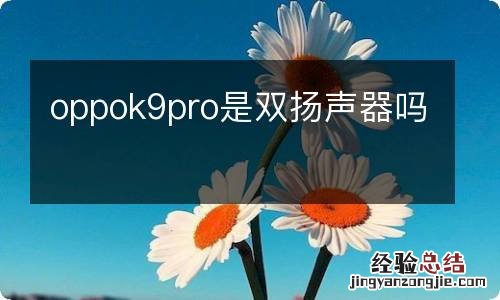 oppok9pro是双扬声器吗