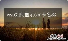 vivo如何显示sim卡名称