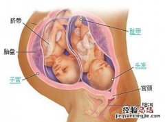 产褥期妇女生殖系统的生理变化 产褥期妇女生殖系统的生理变化包括