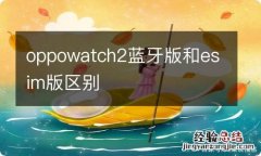 oppowatch2蓝牙版和esim版区别