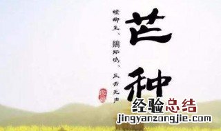 芒种节气的养生要诀 芒种节气的养生