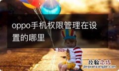 oppo手机权限管理在设置的哪里