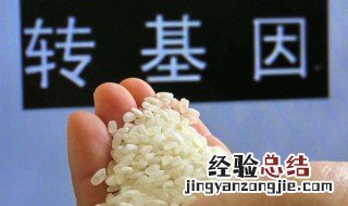 如何辨别转基因食品 什么是转基因食品