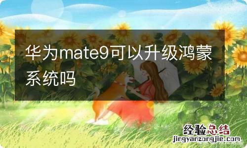 华为mate9可以升级鸿蒙系统吗